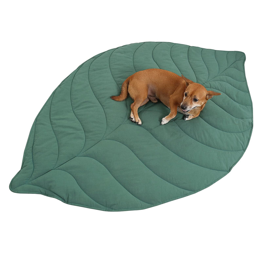 Letalong couverture-chien-feuille grand format protège canapé et lit.