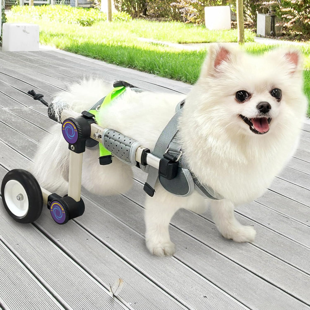 LetPetRun fauteuil-chien arrière ajustable offrant un soutien mobilité lors des sorties