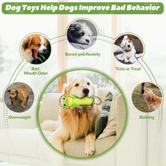 Jouet Letsmeet peluche tir corde: favorise l'exercice et le lien entre vous et votre chien