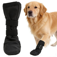 LETSQK botte patte: vue d’ensemble, confort et protection lors des promenades.