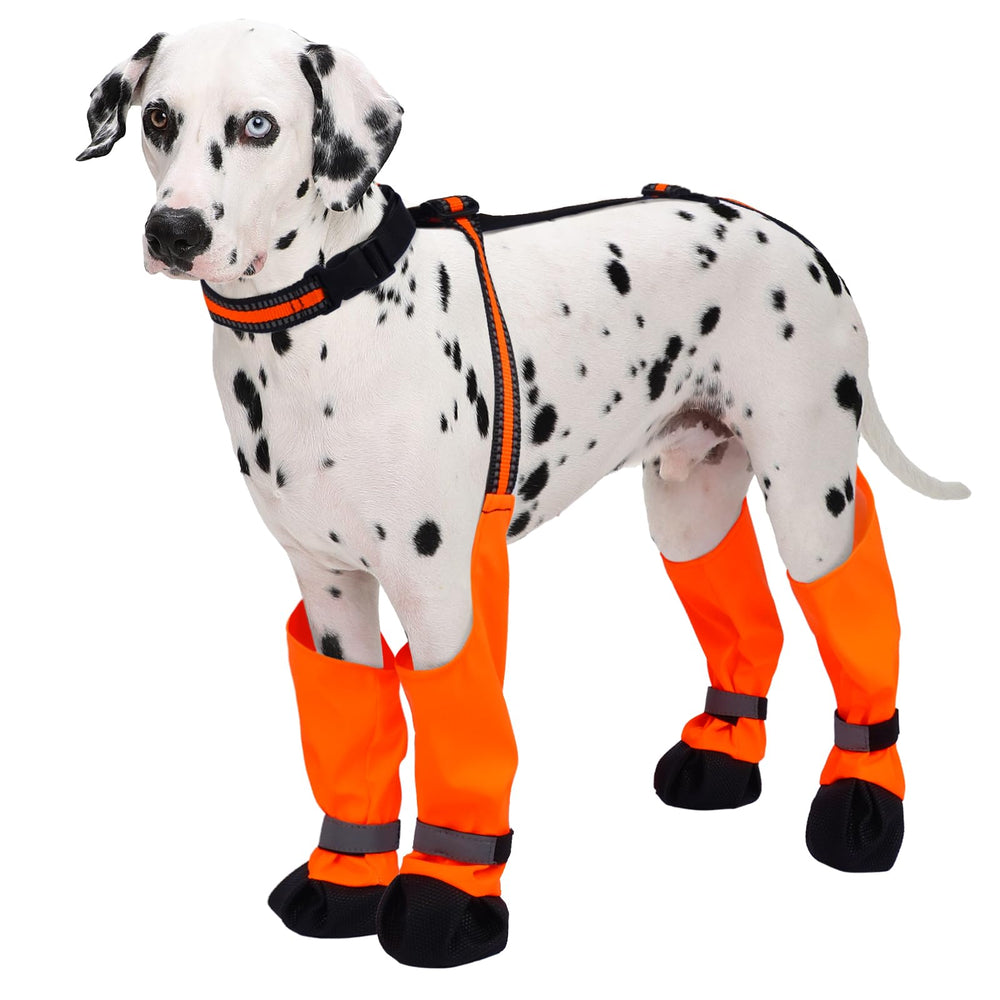 Bottes LETSQK pour chien imperméables protégeant les pattes de la pluie et de la neige.