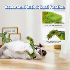 LEWISER: jouet-chat-silvervine inclus, attractif pour l’excitation naturelle.