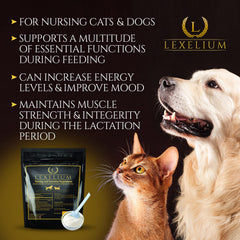 Lexelium developing musculaire chiot chaton poudre : stimule le développement musculaire des jeunes.