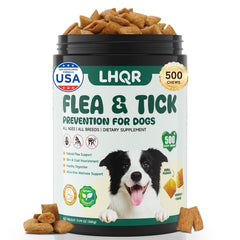LHQR emballage 500 gommes chien : présentation pratique pour la prévention continue des tiques et puces.