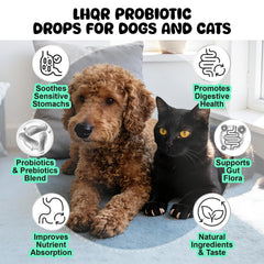 LHQR gouttes probiotiques pour chiens et chats, dose précise pour un confort digestif rapide.