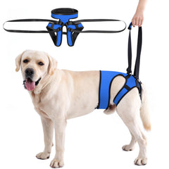 LIANZIMAU harnais levage chien - soutien pattes arrière lors des promenades.