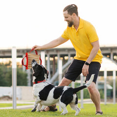Libima - oreiller-tire-chien, deux poignées, idéal pour jeux interactifs en intérieur.