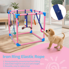 Chiots en action sur le Liitrton Puppy Play Gym, motricité et plaisir.