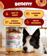 LILSNOOTS avec taurine, poulet déshydraté pour l’énergie et le bien-être du chien.