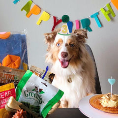 LINGANA chapeau anniversaire animal – reglage elastique assure un ajustement confortable.
