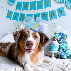 LINGANA chapeau anniversaire animaux bleu – vue dos, ajustement confortable pour chiens et chats.