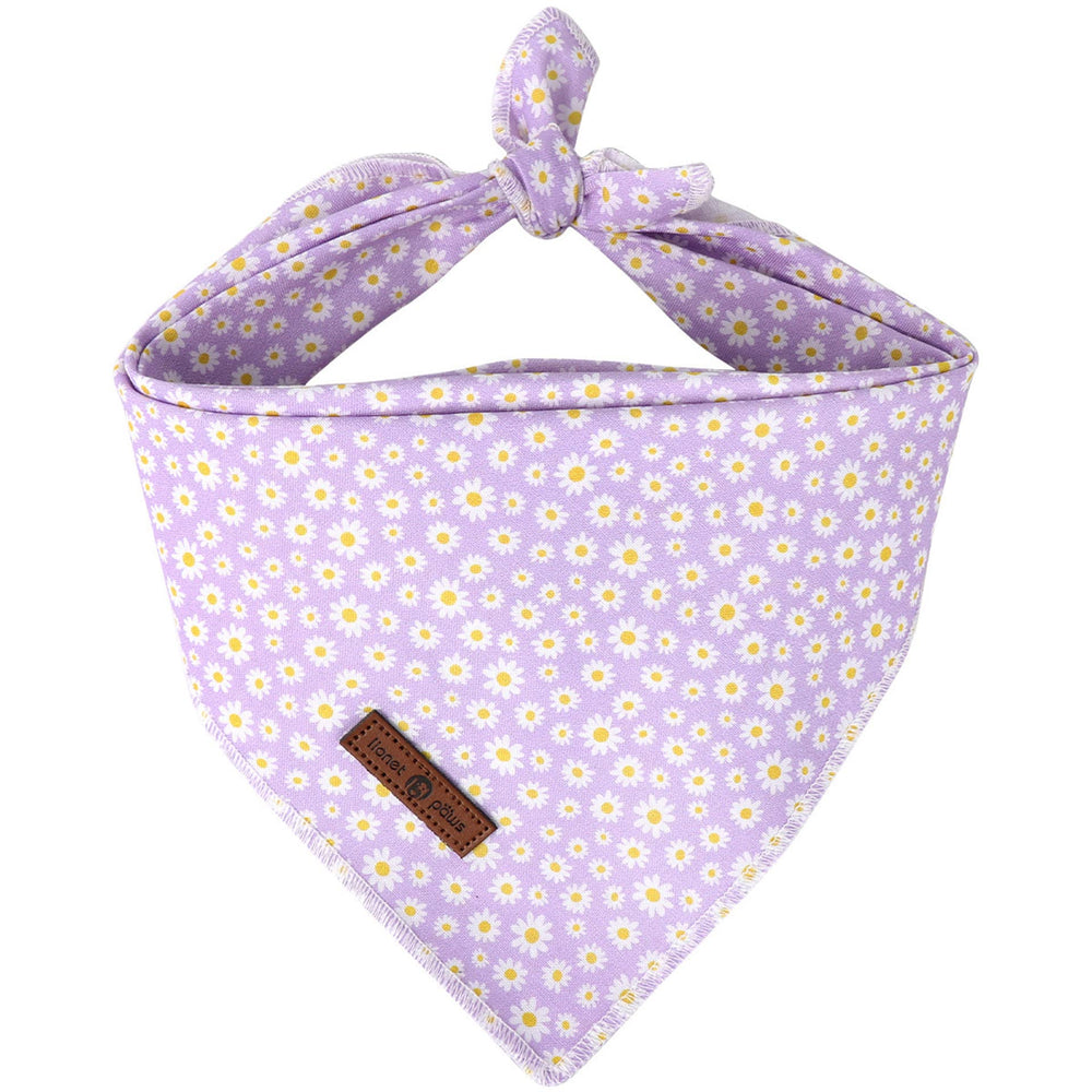 Lionet Paws bandana-daisy-ensemble: look tendance et coton doux pour chiens actifs au quotidien.