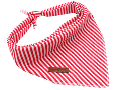 Motif unique Lionet Paws bandana chien, couleurs vives pour événements.
