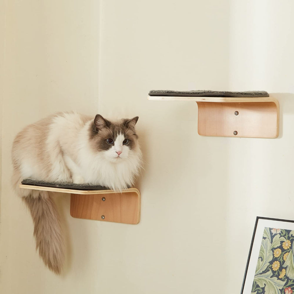 LIORCE deux étapes murales en bois pour chat, espace de jeu et d’exercice.