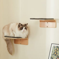 LIORCE deux étapes murales en bois pour chat, espace de jeu et d’exercice.