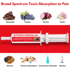 Liovsiso Charbon Actif soutient le système digestif après ingestion.