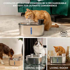 LIPPUP fontaine chat inox, batterie rechargeable, mobilité pratique.