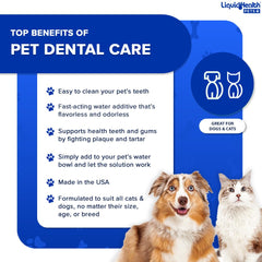 LIQUIDHEALTH utilisation quotidienne eau pour animal, solution facile sans brosse.
