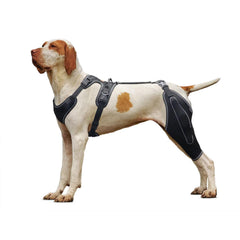 LISPOO Attelle Genou Chien, mise en place simple pour les propriétaires.