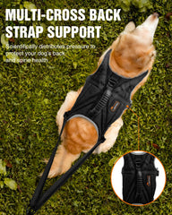 Ceinture taille LISPOO rembourrée – confort et liberté de mouvement.