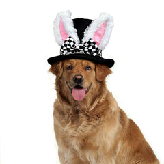 Littledropet chapeau lapin pour chien, élégant et adorable pour les séances photo.