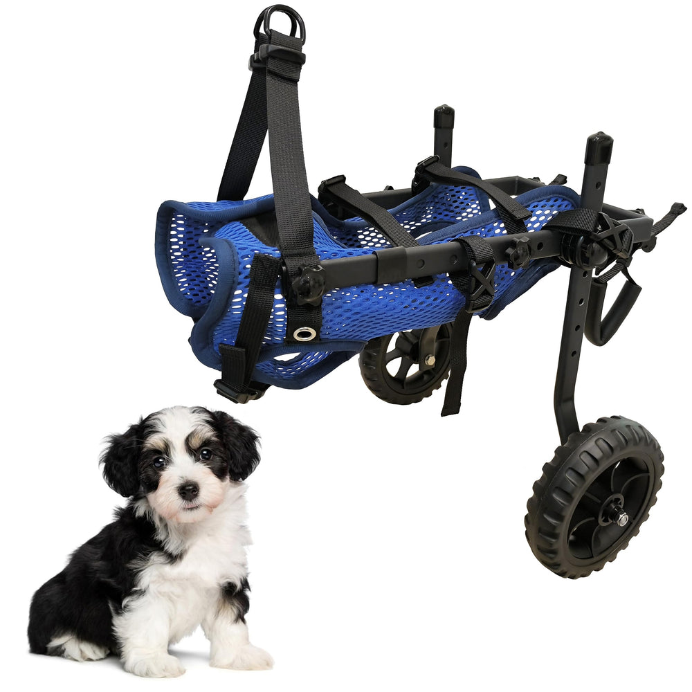 LIU&LIU fauteuil roue pour petit chien bleu, soutien arrière léger et mobile.