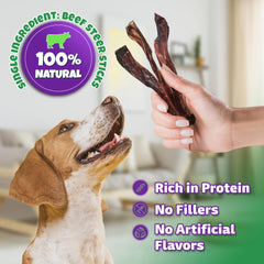 Bâtonnet Lively Tails 6 pouces pour petits chiens, format pratique.