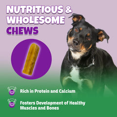 Lively Tails Himalayan Chew – chien grand utilisant une mastication soutenue