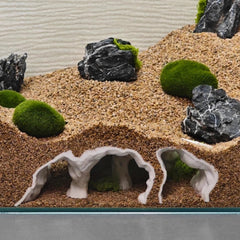 LIYAOLI grotte-tunnel-observation avec ports pour voir poissons facilement.
