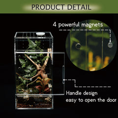 Pinces en acier inox incluses avec le terrarium LIZ QNNALY pour nourrir en sécurité.