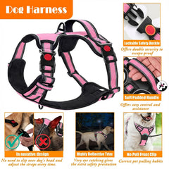 Ceinture de sécurité chien Lobeve, trajets en voiture plus sûrs.