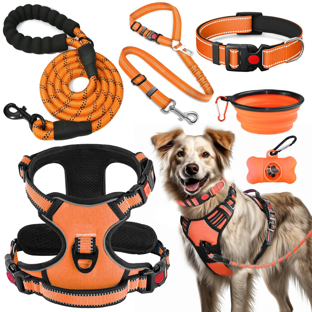 Harnais sans tirage Lobeve pour chien, confort optimal pendant les promenades.