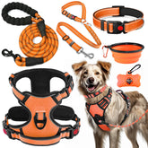 Harnais sans tirage Lobeve pour chien, confort optimal pendant les promenades.