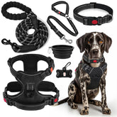 Harnais sans tirage Lobeve pour des promenades confortables.