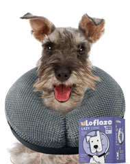 Collier Loflaze donut gris pour chien, soutien à l'activité pendant la récupération.