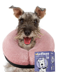 Collier donut gonflable Loflaze pour chien grand, soutien sûr en récupération.