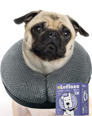 Loflaze collier donut inflatable face chien : liberté de vision et mouvement pendant la récupération