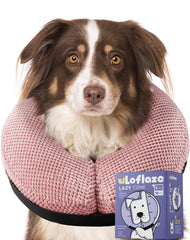 Loflaze collier gonflable donut pour chien, liberté de mouvement et confort.