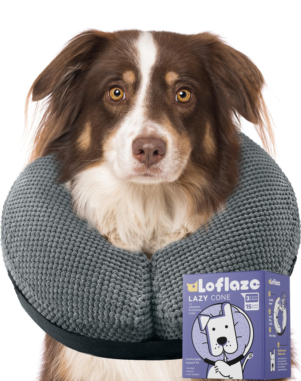 Loflaze collier gonflable doux sur chien et chat, liberté de mouvement