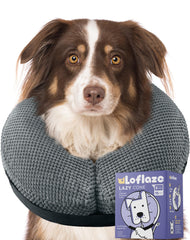 Loflaze collier gonflable doux sur chien et chat, liberté de mouvement