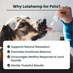Lolahemp étiquette-santé montrant camomille et théanine pour chiens