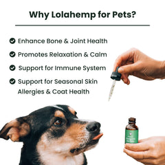 Lolahemp huile chanvre pipette: dosage pratique pour animaux