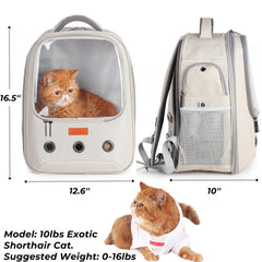 Lollimeow bulle ouverte devant, permet à votre animal de sortir légèrement pour l’attention.