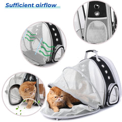 Système de ventilation à 9 entrées sur le sac Lollimeow pour une meilleure circulation d’air