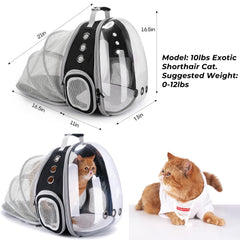 Lollimeow sac à dos chat – tapis inclus pour un sol stable et confortable