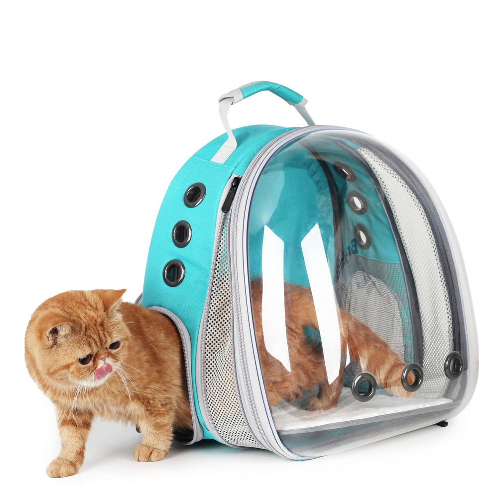 LOLLIMEOW sac porte-chat bulle panoramique: vue claire lors des trajets