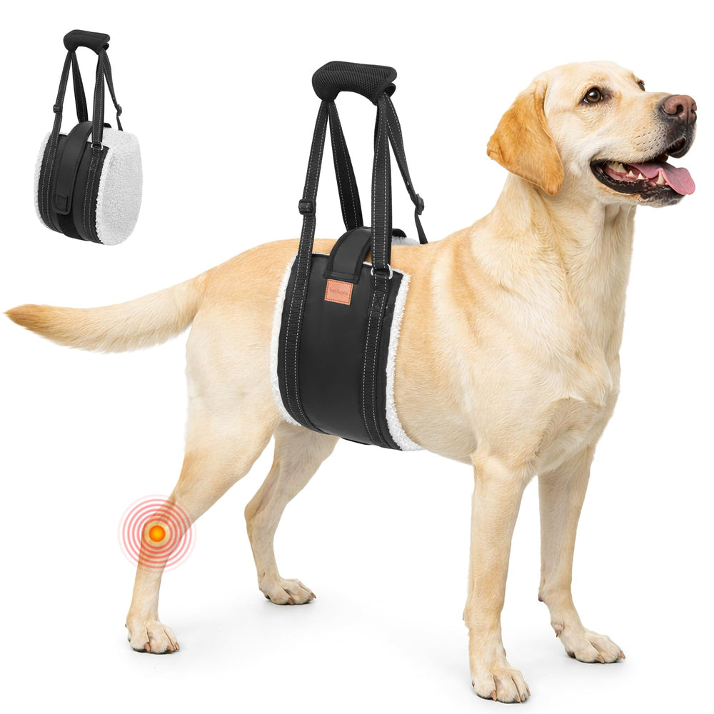 LOOBANI harnais lift pour chien pattes arrière, soutien stable en mouvement