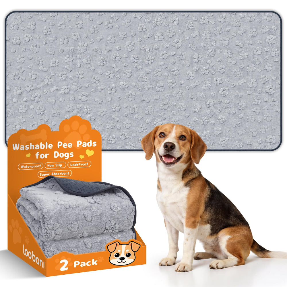 LOOBANI tapis-chien extralarge 36x72 avec anti-glissement pour un entraînement stable.