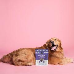 Lord Jameson Wild Berri Puffs présentées sur une assiette avec récompense canine.
