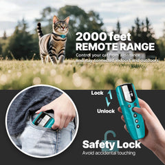 Collier LOSULF léger pour chats actifs sans gêne.